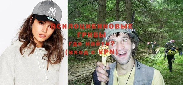 прущий лед Снежногорск