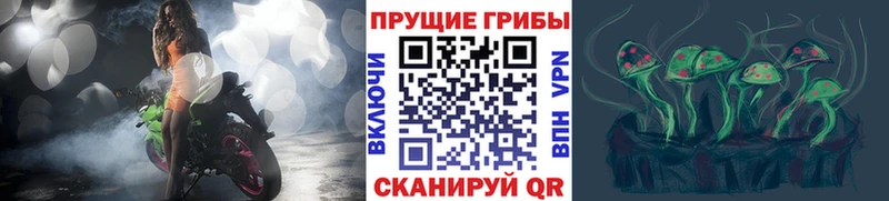 Псилоцибиновые грибы мицелий  Апшеронск 