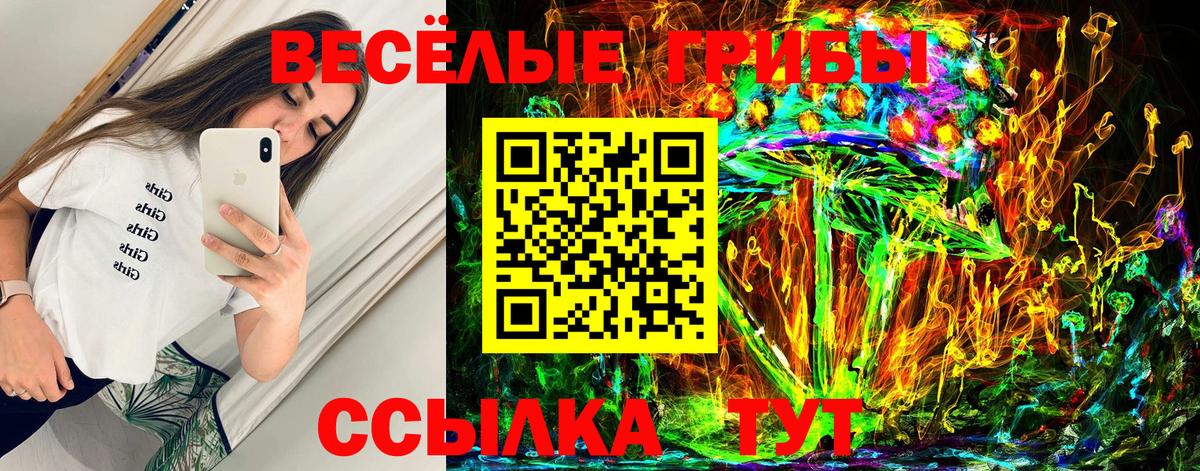 Апшеронск  Галлюциногенные грибы Magic Shrooms  Псилоцибиновые грибы Psilocybine cubensis  Вход с VPN 
